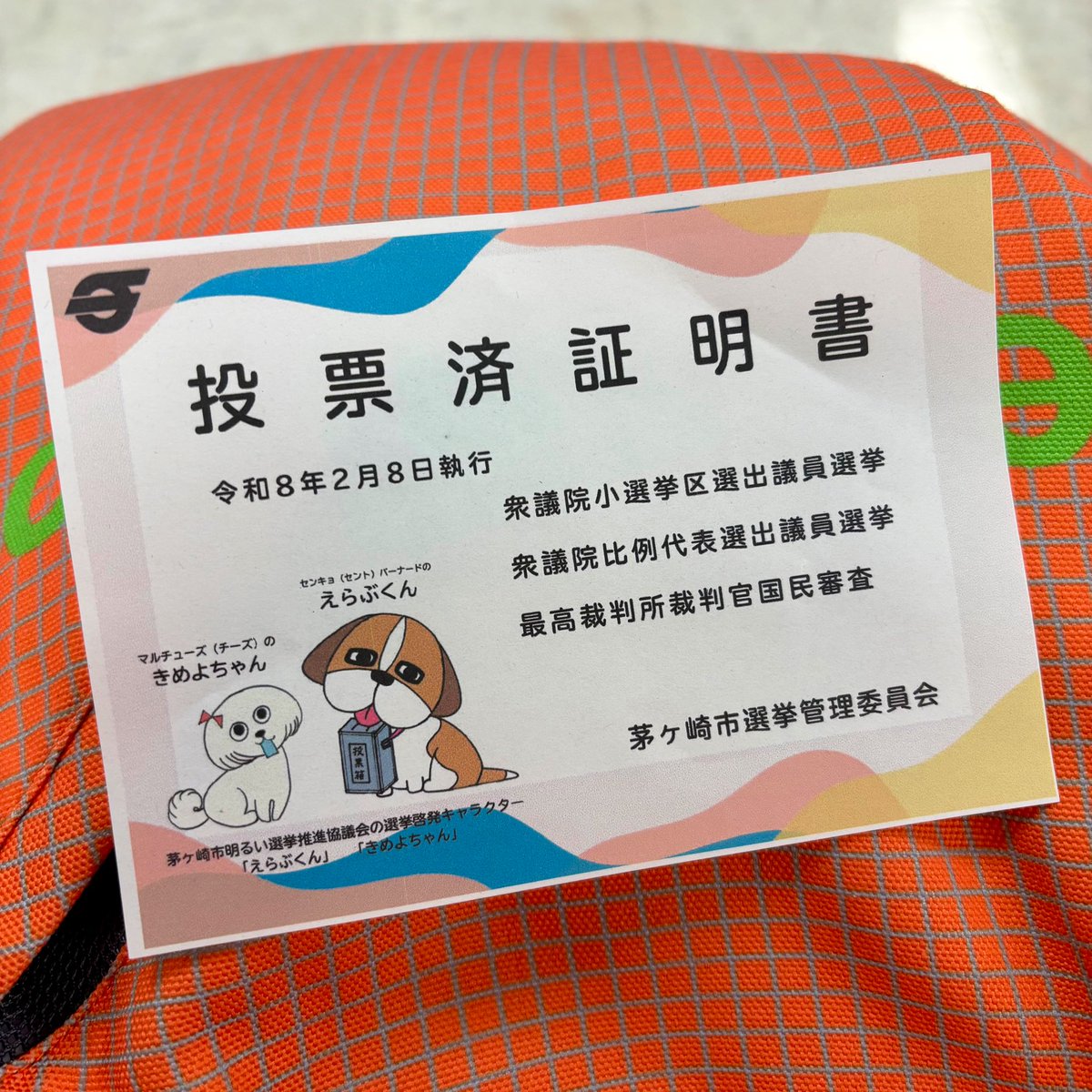 期日前投票に行ってきました😊👍
#選挙 #茅ヶ崎市