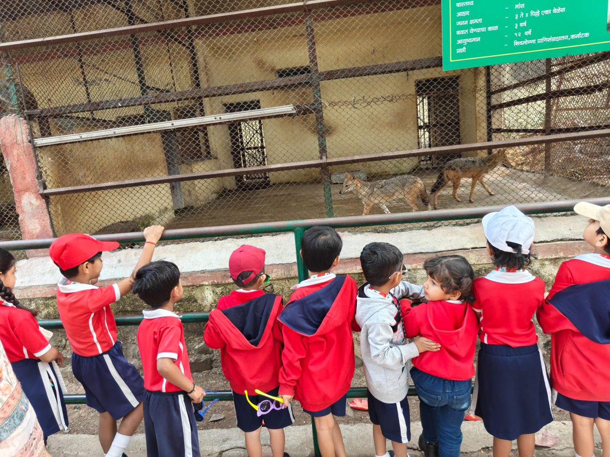 Fountainhead Wockhardt Global School tweet media