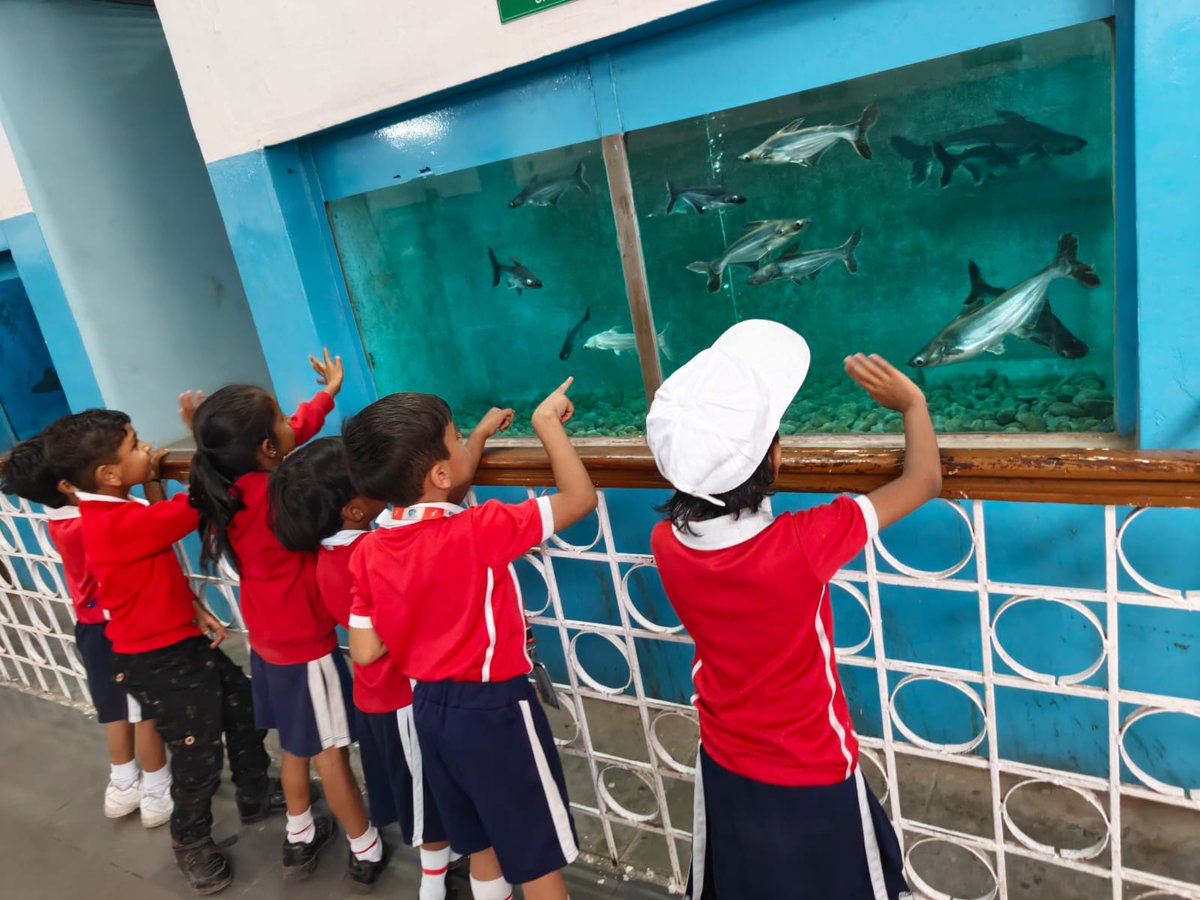 Fountainhead Wockhardt Global School tweet media