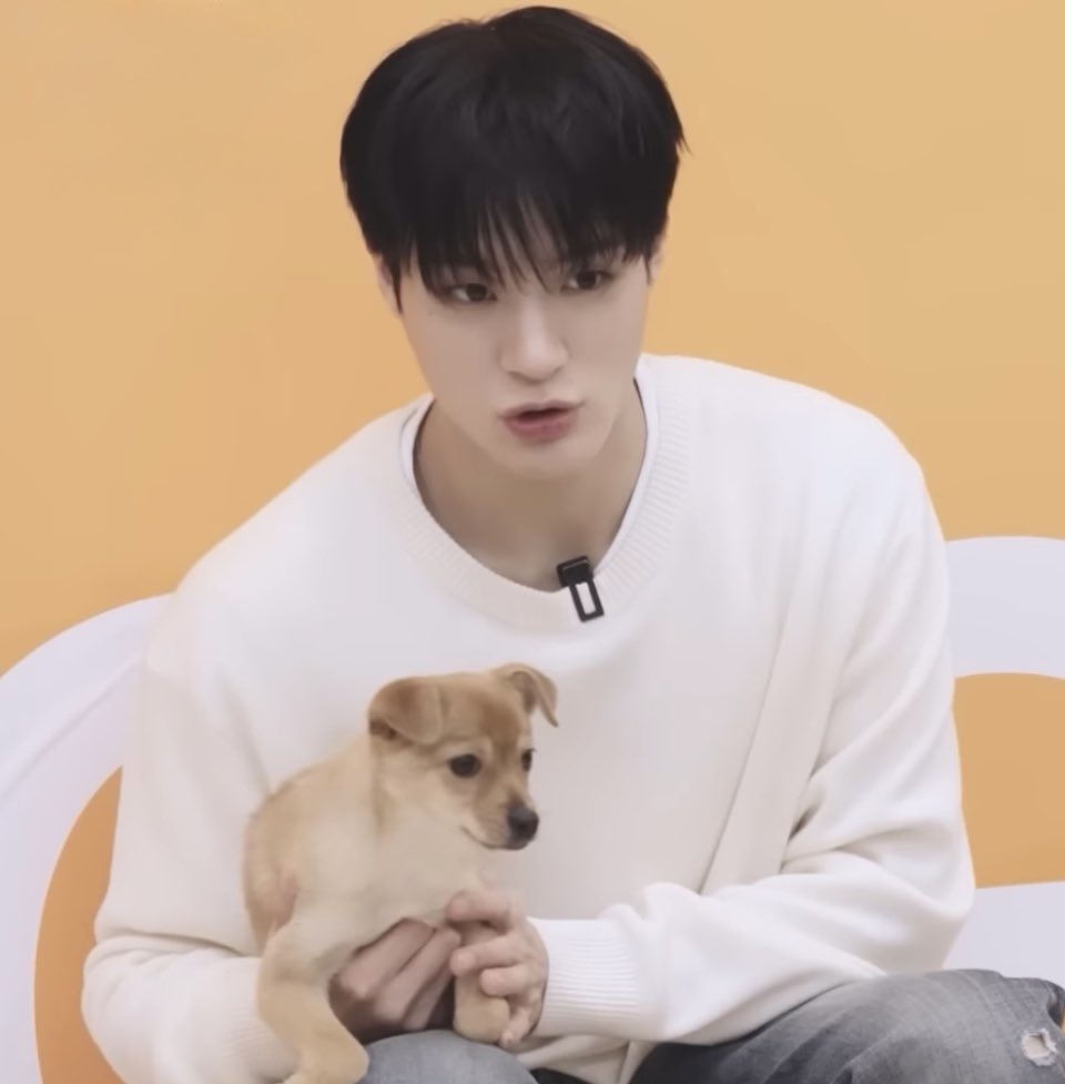 ซามอยด์เป็นมิตรต่อเบบี๋มะม๋าทั่วโลก .◜◡◝🦮