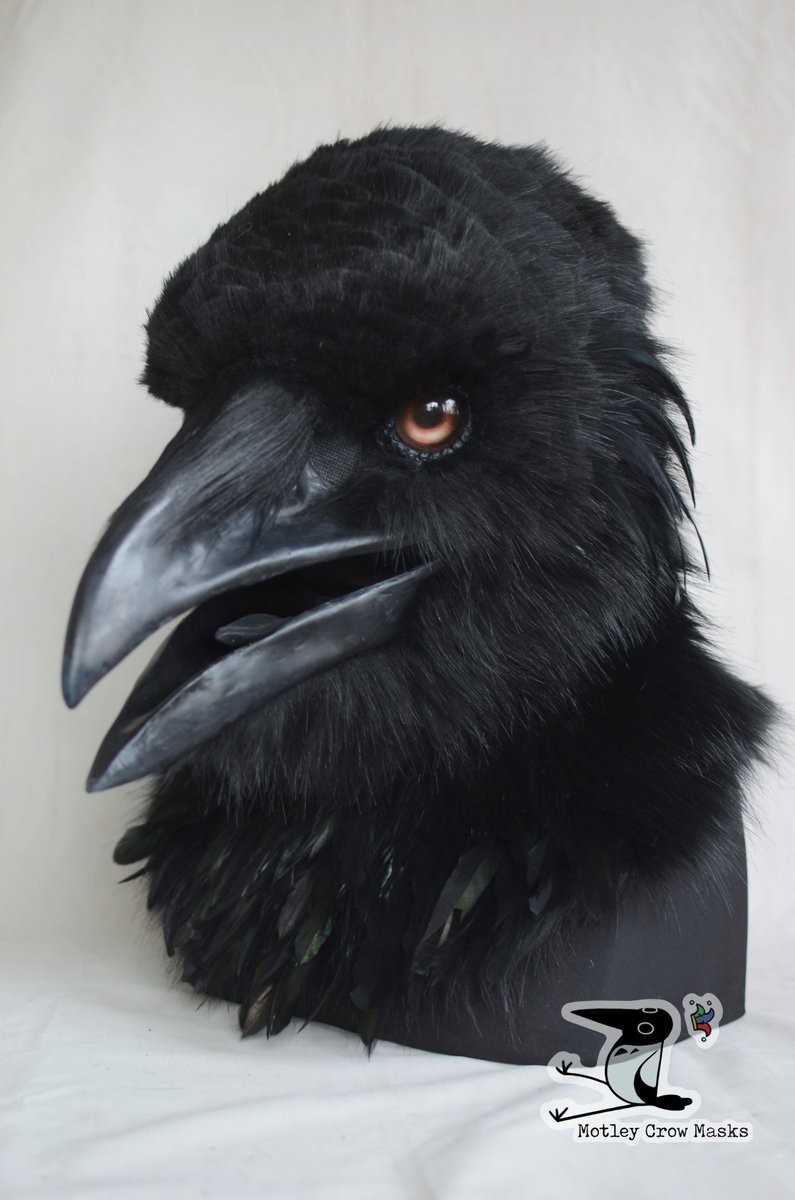 Motley Crow Masks tweet media