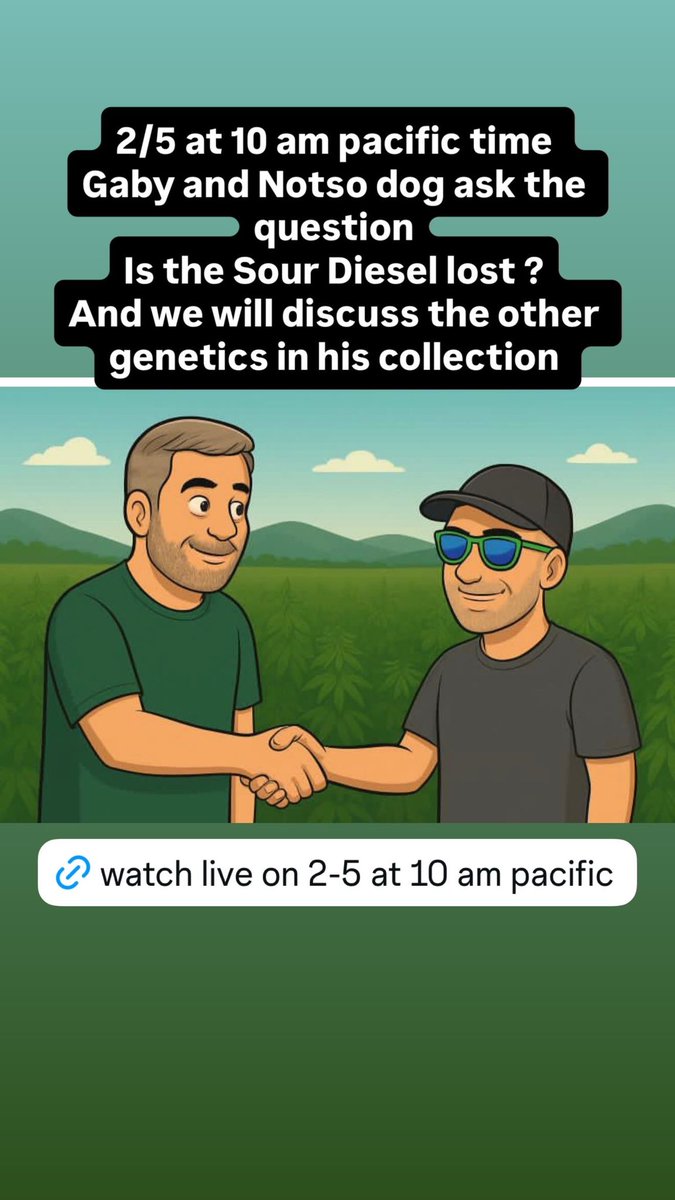 Tomorrow 10 am pacific time Notso dog and I will be asking the question…. Is the sour diesel lost ? We will also be discussing the other genetics in his collection. Live here on X and YouTube!

youtube.com/@craftgrowersn…