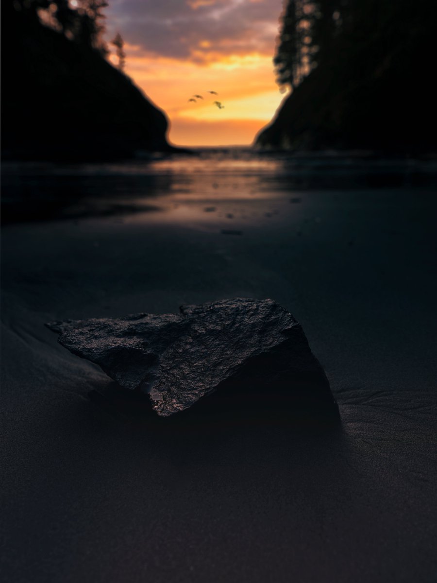 Victor Fernandes tweet media