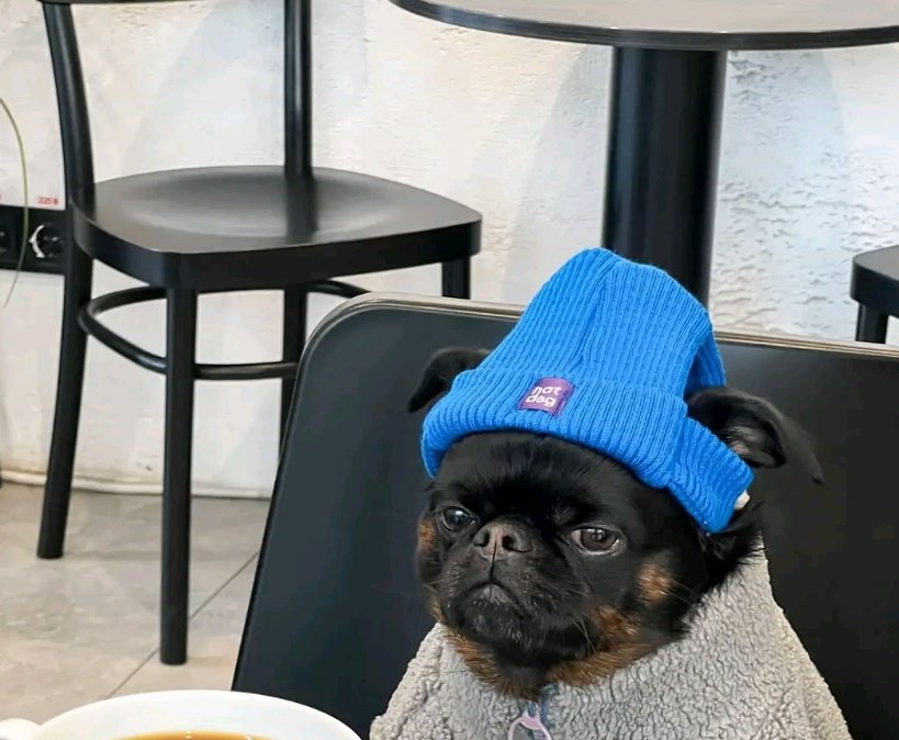 Frella🌸 tweet media