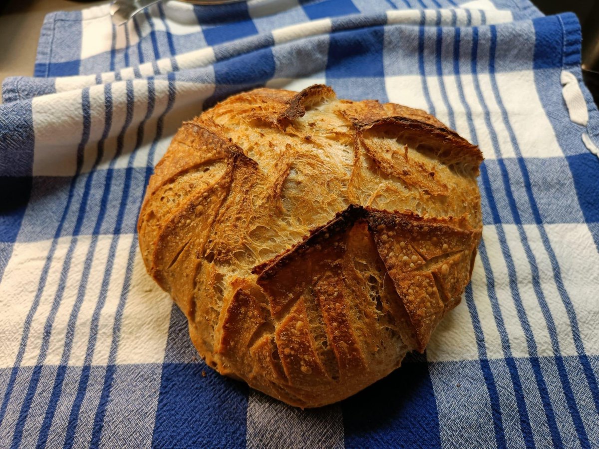HilpoJuhana's tweet image. Oat Bread

This time I went with freestyle scoring, because I couldn’t bring myself to deal with all kinds of guide strings. 😄
1/3

#sourdough #oatbread