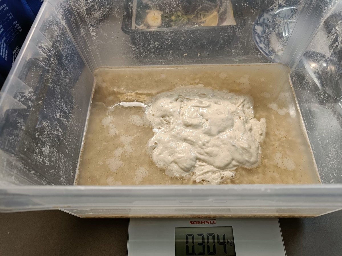 HilpoJuhana's tweet image. Oat Bread

This time I went with freestyle scoring, because I couldn’t bring myself to deal with all kinds of guide strings. 😄
1/3

#sourdough #oatbread