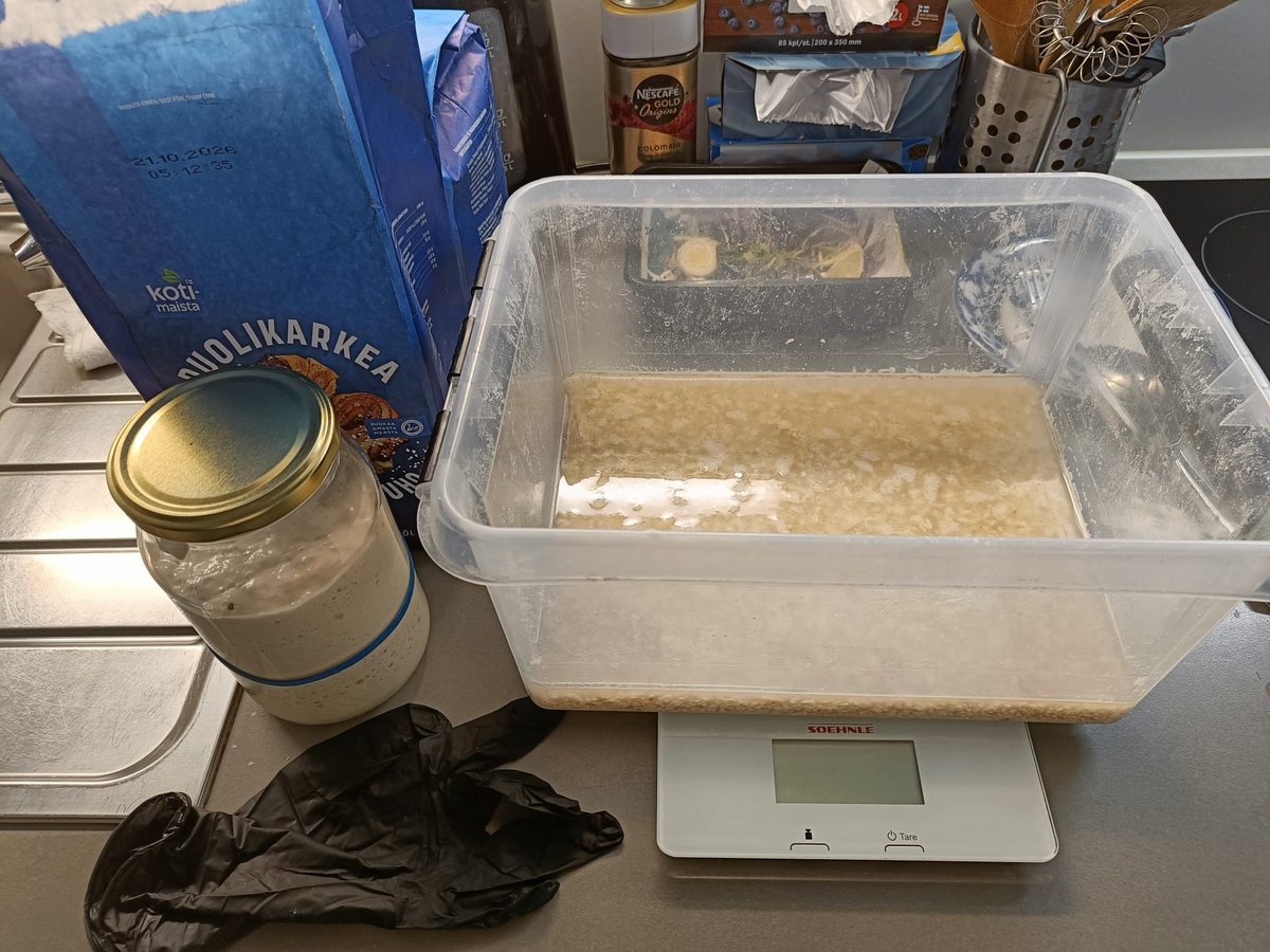 HilpoJuhana's tweet image. Oat Bread

This time I went with freestyle scoring, because I couldn’t bring myself to deal with all kinds of guide strings. 😄
1/3

#sourdough #oatbread