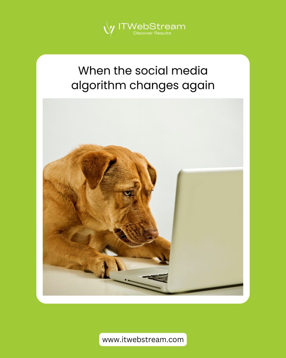 IT Web Stream tweet media