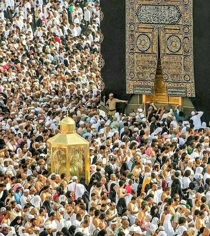 سفير سابق tweet media