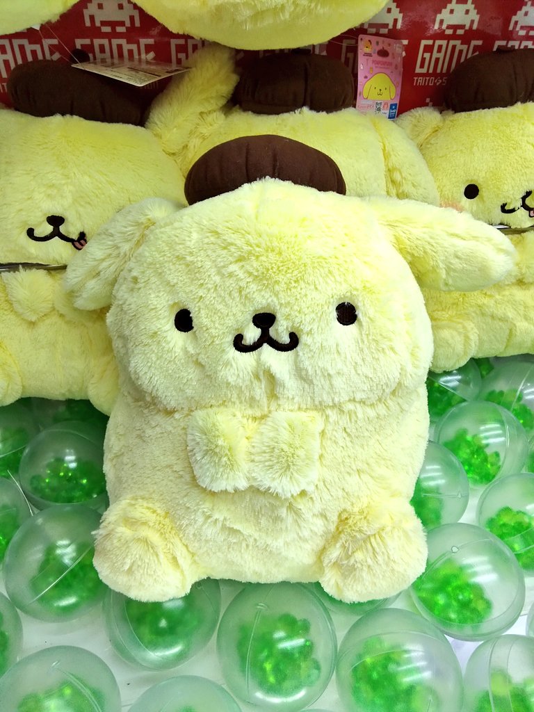 ころんとしたフォルム 愛らしいお座りポーズのポムポムプリン 思わず