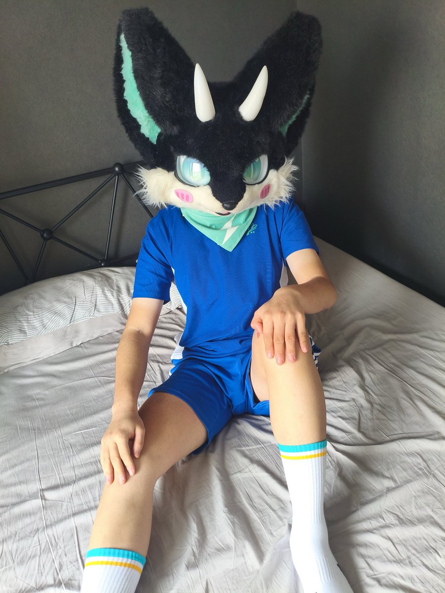 🐾一只小莫莫🐾 tweet media