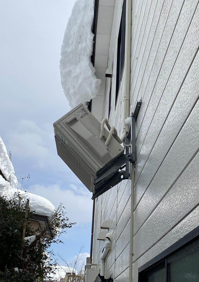 Pちゃん (@pchan_ny3) / Posts / X