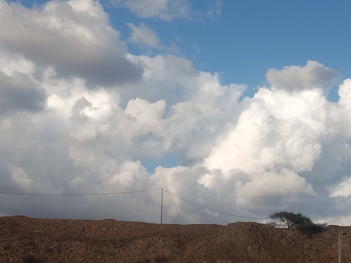 عبدالعزيز القنيص tweet media