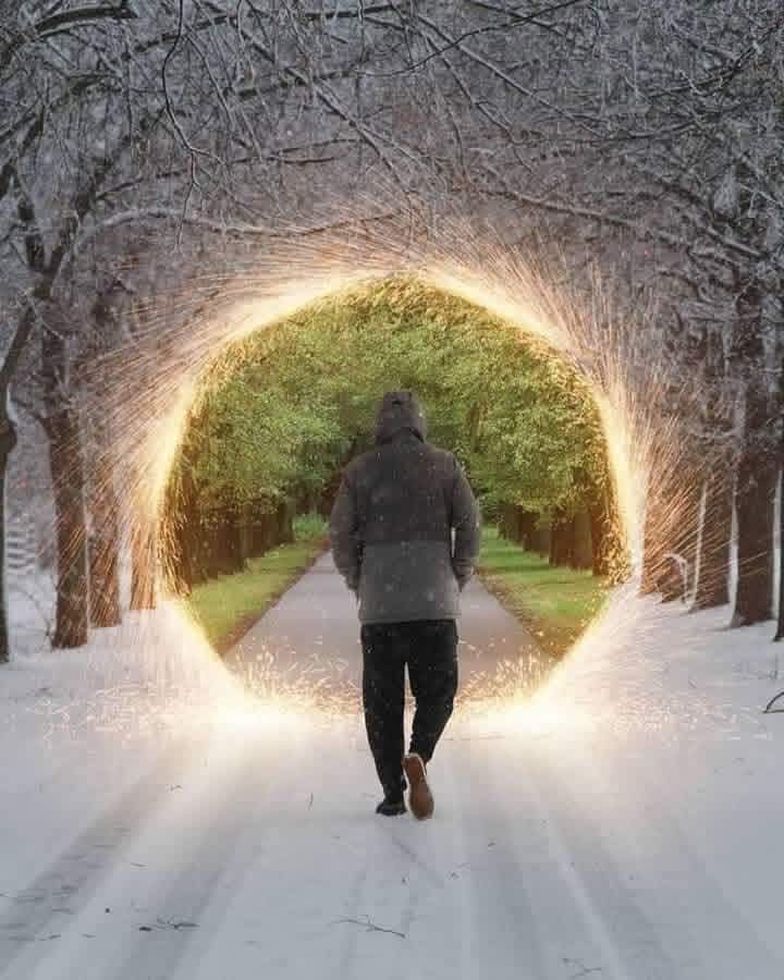 🇯🇵 cheese 瞑想 tweet media