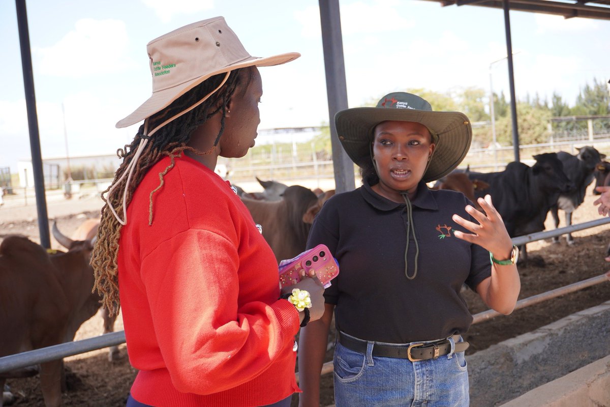 KenyaCattle's tweet photo. Farmers are gaining practical skills in proper cattle feeding, ration formulation, feed conservation, and animal health management, helping them reduce feeding costs, improve weight gain, and increase overall farm profitability.

2/2 https://t.co/9D0MhHjmzS