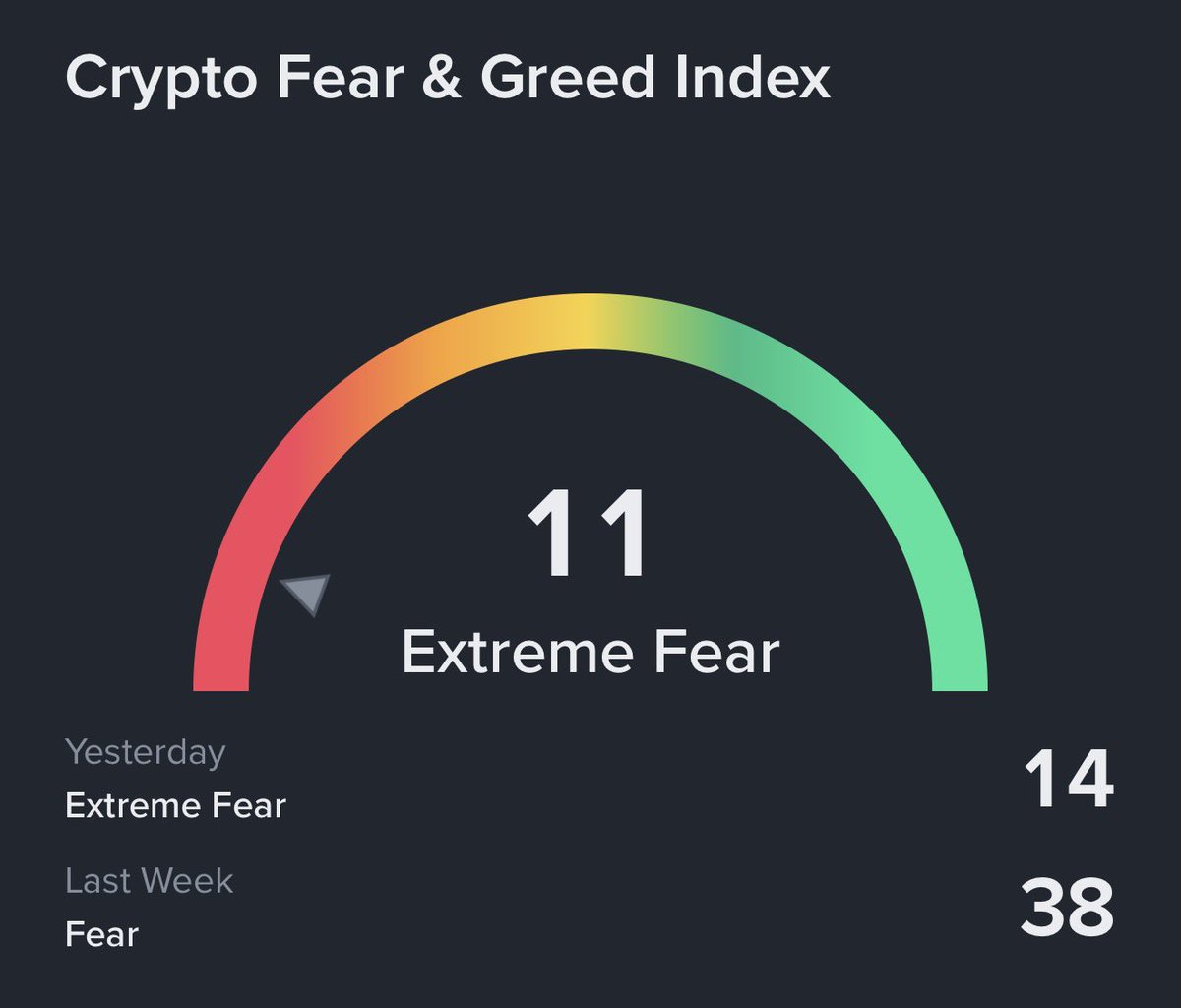 Feels like it’s good time to be greedy will update 

Future is looking bright