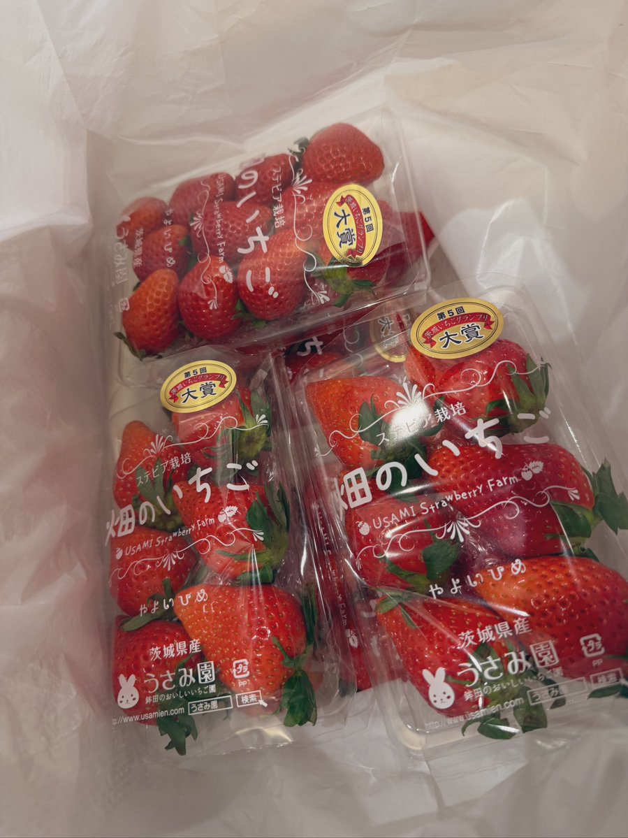 今年も推しいちごちゃん達に出会えてハッピー🍓🍓🍓爆買いザウルス🦖🍓