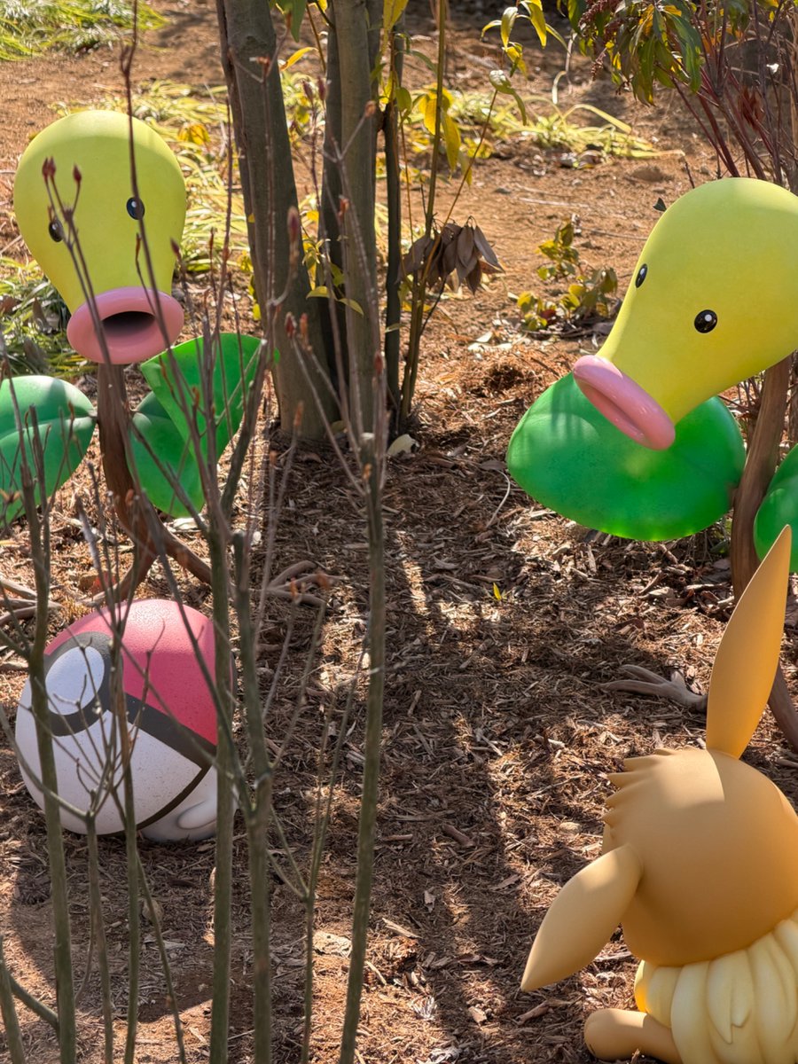 みみみ様⭐専用ページ みみみ (@wPWMOzxAus5I1se) / Posts / X