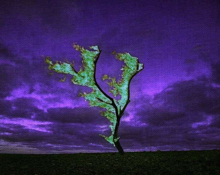 arma (@sovietsoleri) on Twitter photo 