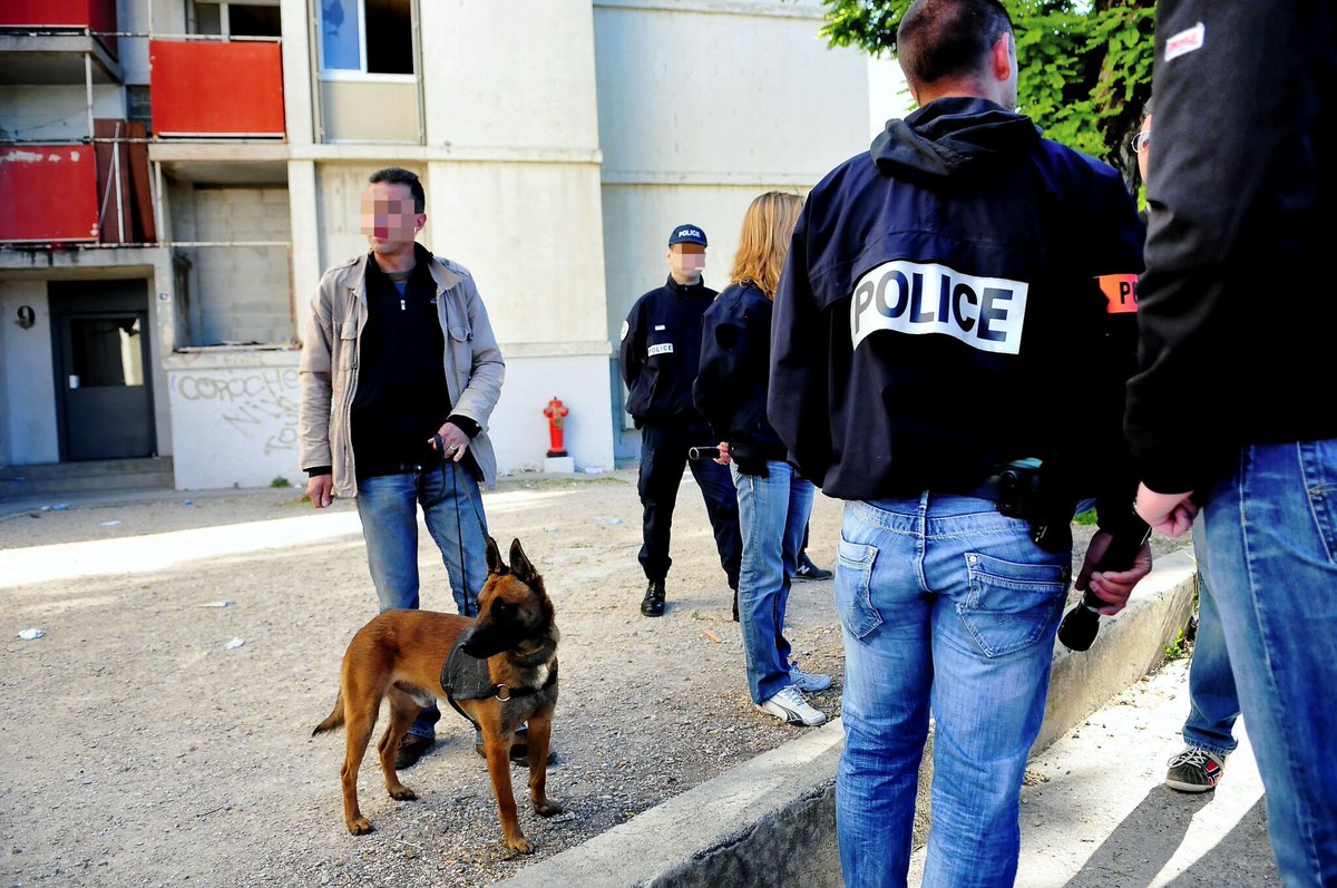 101 interpellations, 70 écrous, 2 expulsions locatives… : le bilan de la lutte contre le narcotrafic à Bagnols-sur-Cèze en 2025
➡️ l.midilibre.fr/QO35