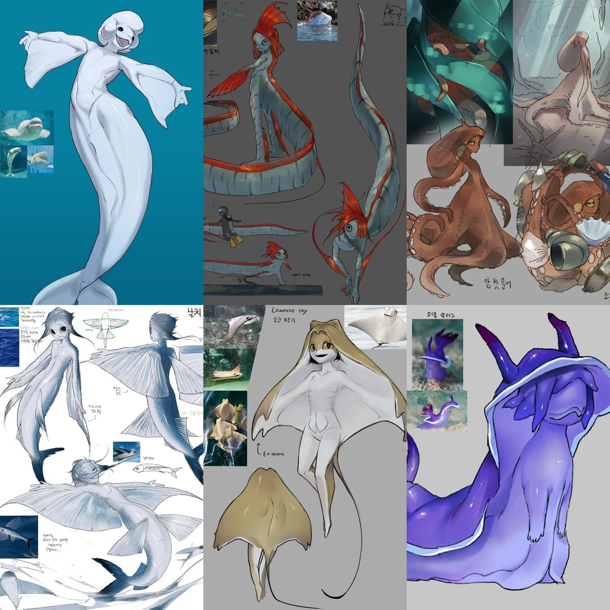 해양생물 좋음....