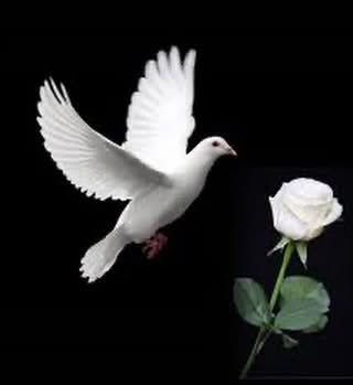 رائعة 👇🏼👇🏼

✍🏼 يُحكى أن طائرًا أحب وردة بيضاء
فقالت له الوردة
عندما يصبح لوني أحمر سأحبك 
فبتر الطائر جناحه ونثر دمه على الوردة فاحمر لونها
فأدركت الوردة كم أحبها الطائر
ولكن الوقت قد فات !! لأن الطائر قد مات ......

اهتم لمن يهتم بك ....لأنك لو خسرته لن تجد حبا كحبه 👇🏼👇🏼