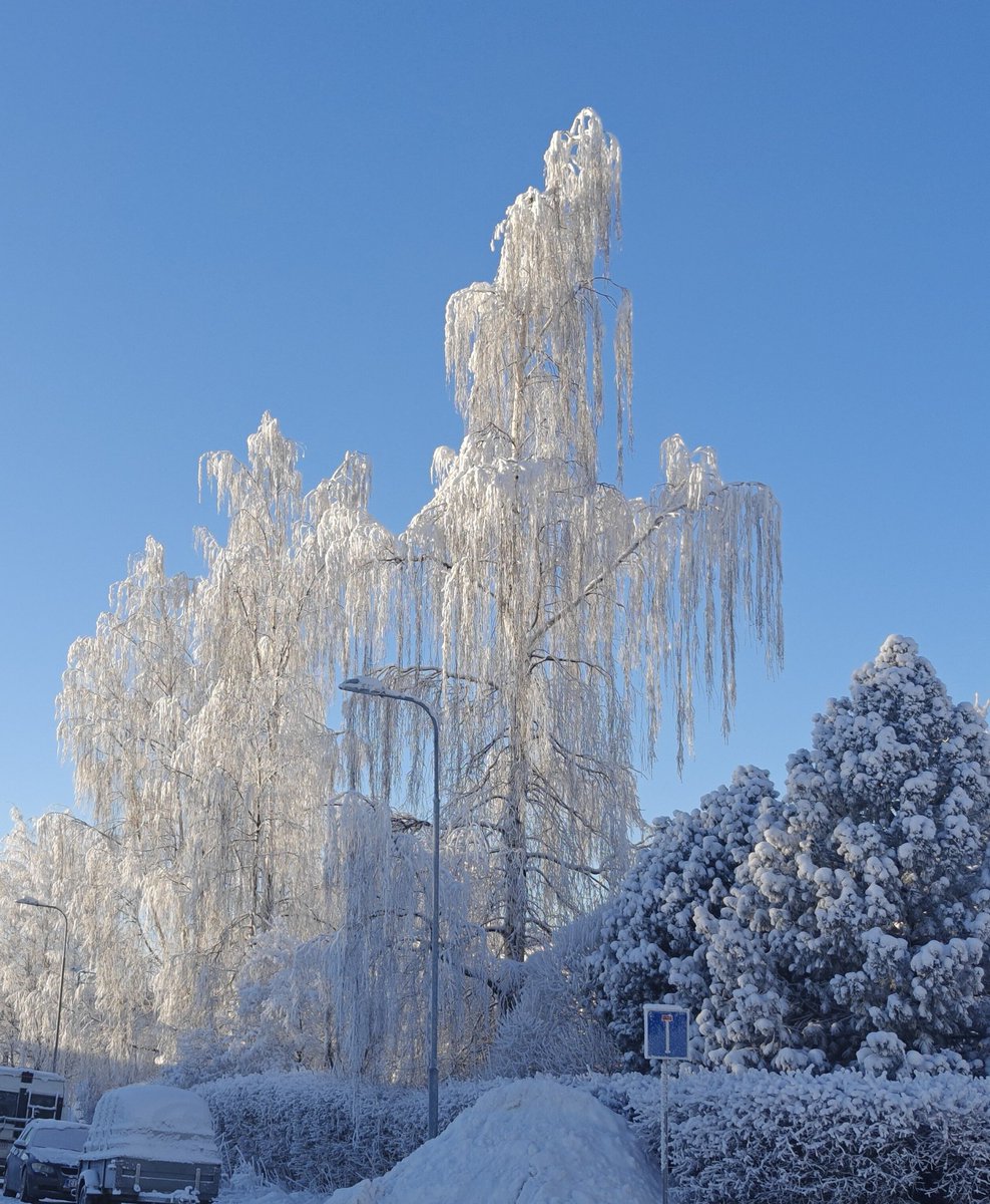 dasb00t's tweet image. Aika perus kaupunkimaisemaa Oulussa näinä päivinä. Ei voi valittaa. 

#talvikaupunni #oulu