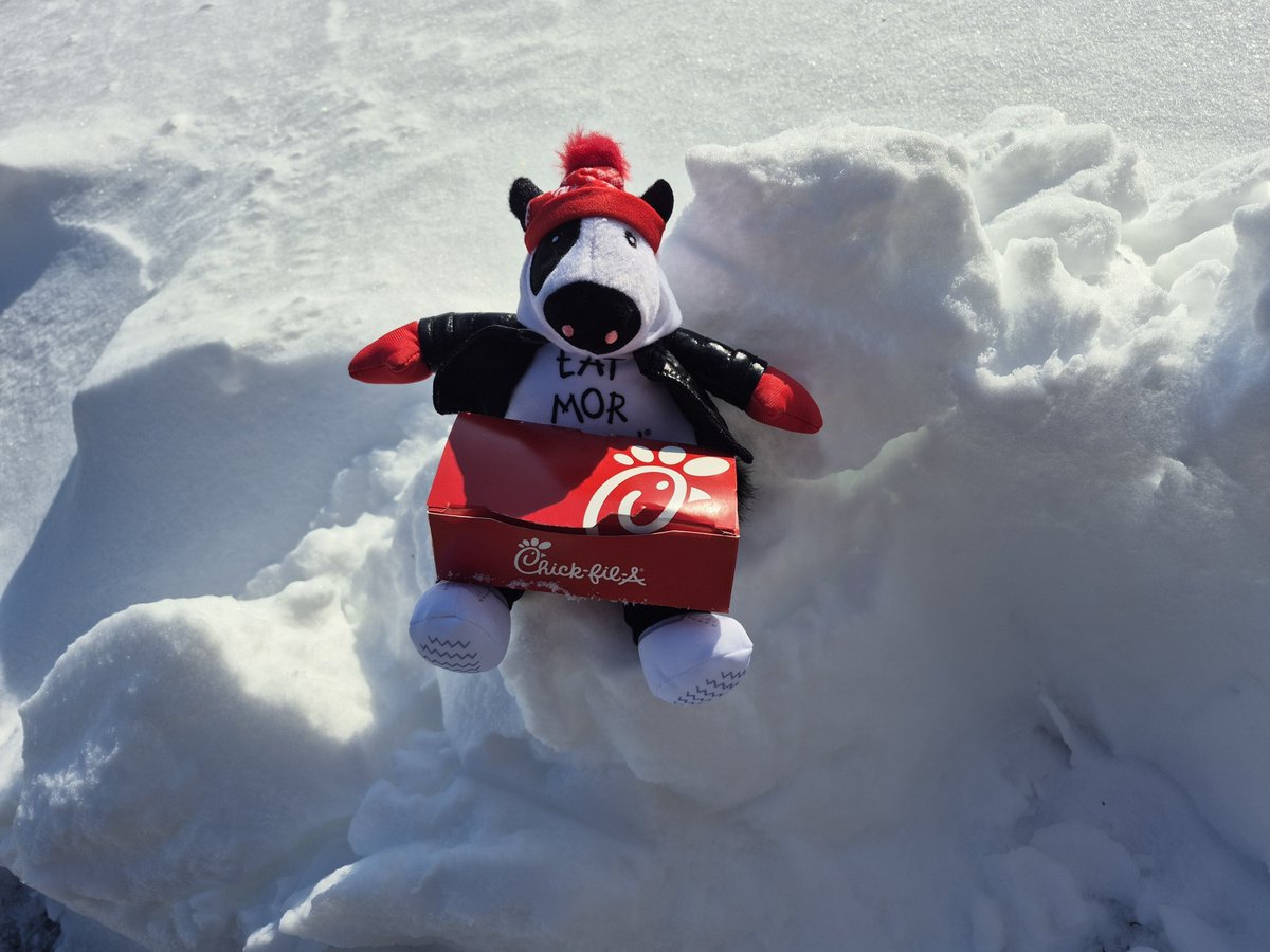 CFACINCYNKY tweet media