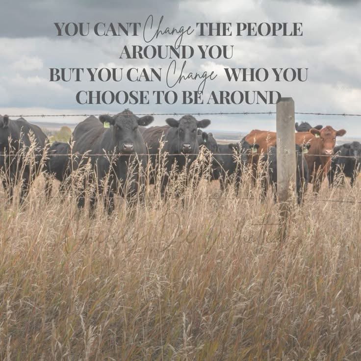 Dave & Shonna Smith-Saddle Up Ministries (@saddleupmin) on Twitter photo 