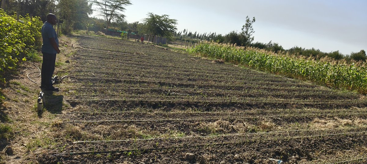 Kenya Water For Health Organization(KWAHO) tweet media