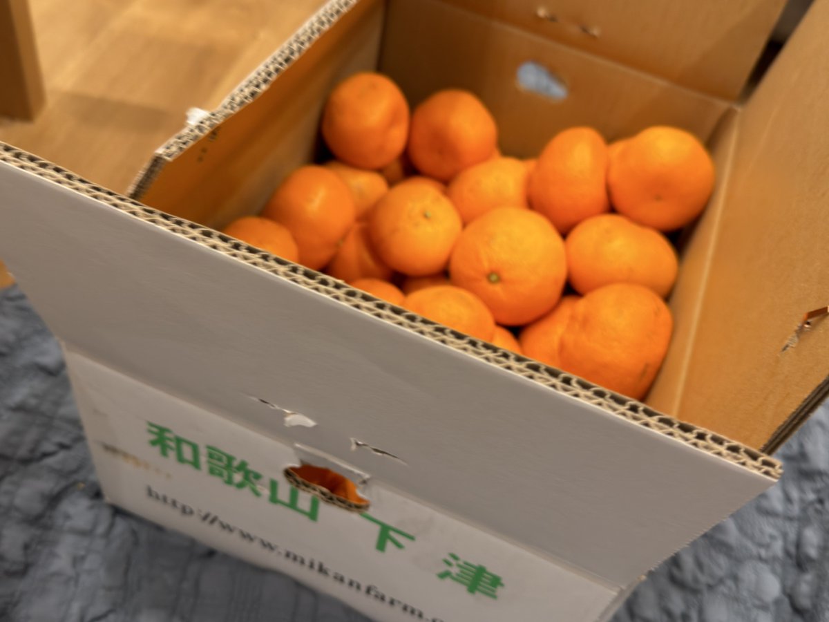 みかんみかんみかん