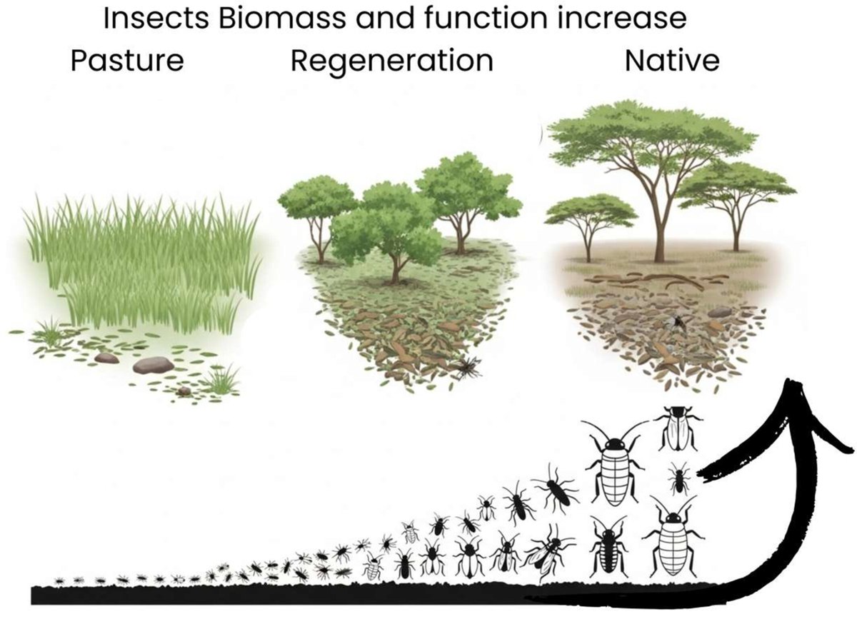 Annals of Applied Biology tweet media