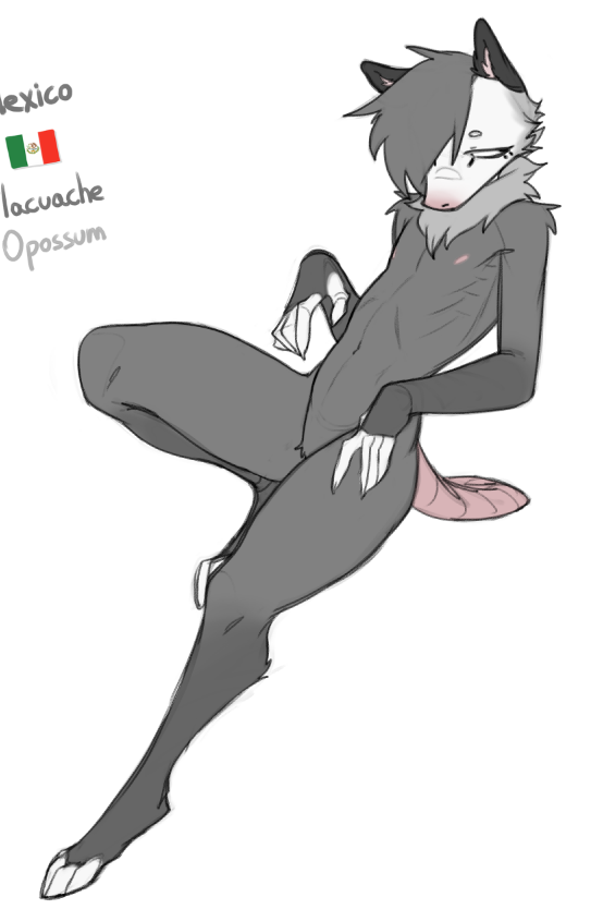 nekodoiko.bsky.social 🏳️🌈 tweet media