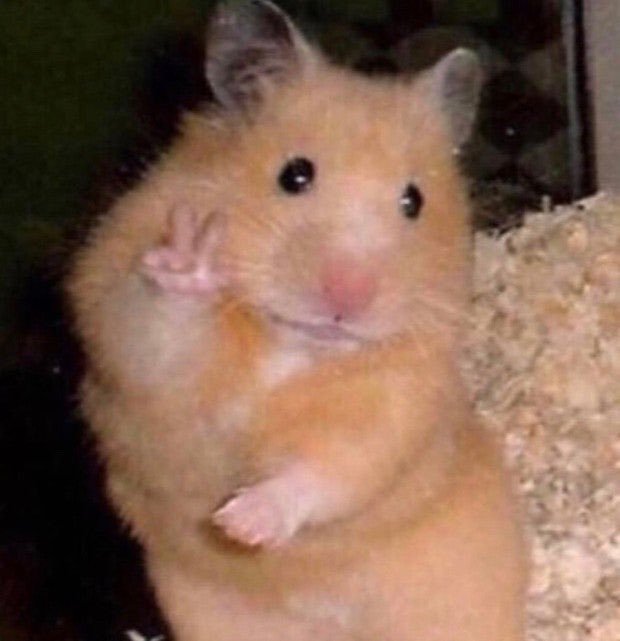 EON_Zoo's tweet image. 트칭들아 나 내일 오전근무만 하면 월요일까지 논다? 우하하