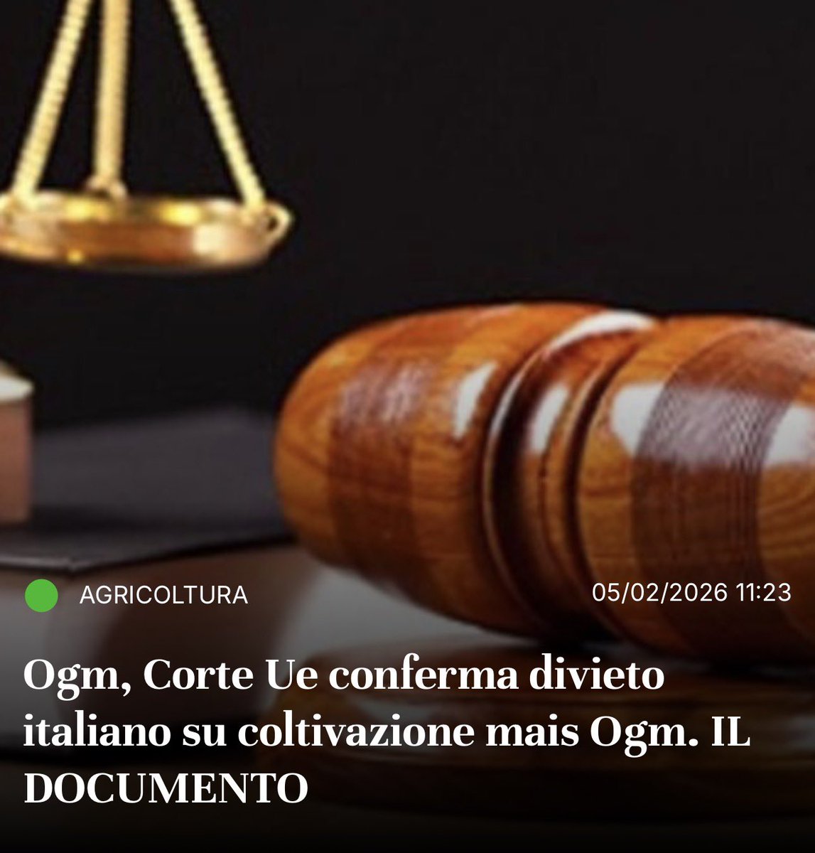 Agricolae1's tweet image. #Ogm, Corte Ue conferma divieto italiano su coltivazione #mais Ogm. IL DOCUMENTO 

@EUCourtPress @FrancescoLollo1 @SocialMasaf @coldiretti @Confagricoltura @Cia_Agricoltura @Copagri @LegacoopN @Fedagripesca 

agricolae.eu/ogm-corte-ue-c…