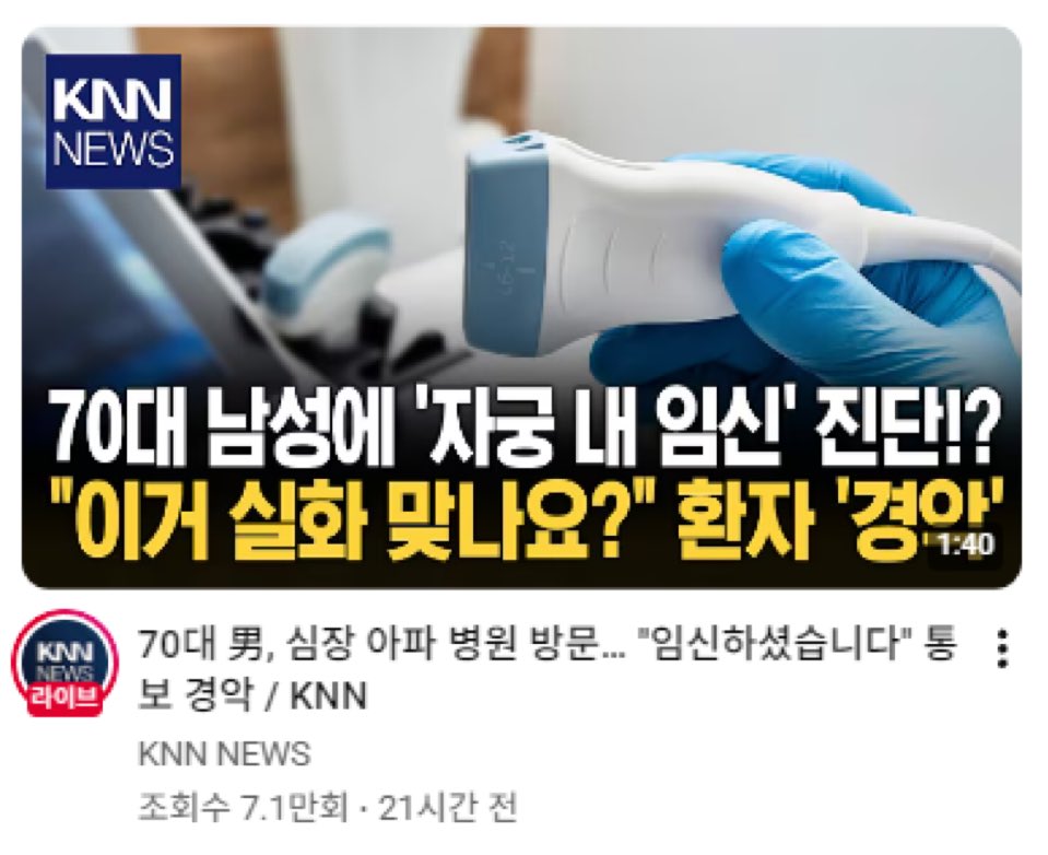71__ve's tweet photo. 주노어르신을 먼저 보낸 디만어르신 심장이 아파 병원에 방문했더니 임신하셨습니다 통보... 주노가 떠나면서 남긴 선물이구나 하며 받아들이셨다 https://t.co/suPa1yb66T