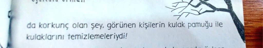 Çocuk kitaplarında cümlenin bazen böyle konudan bağımsız bitmesini seviyorum.