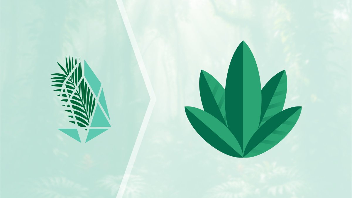 Jungle Testnet tweet media