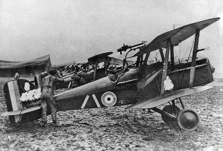 Wayne Chen tweet media