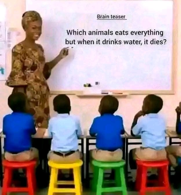 𝐁𝐨𝐲 𝐌𝐬𝐞𝐥𝐚• (@visix012) on Twitter photo 