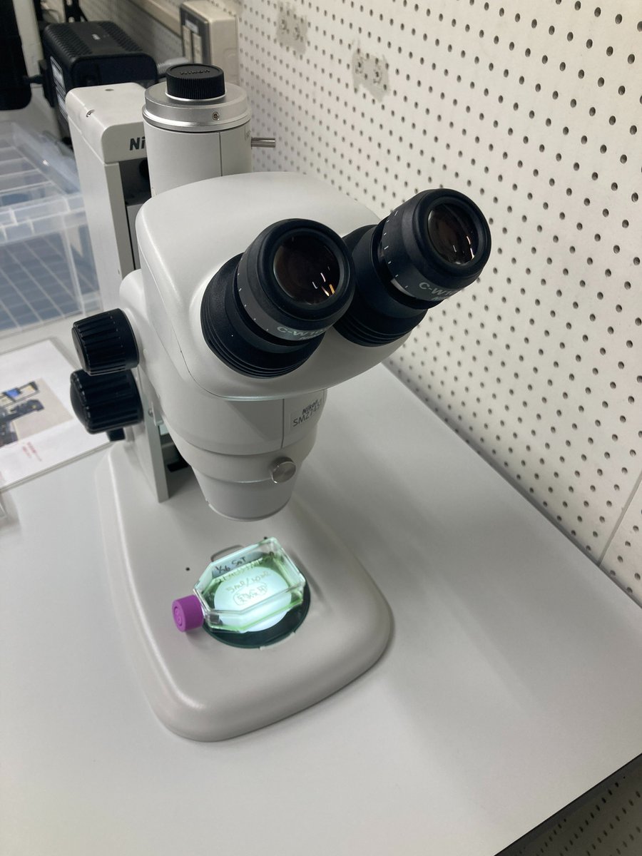 Isozaki Lab (磯崎研究室、立命館大学) tweet media