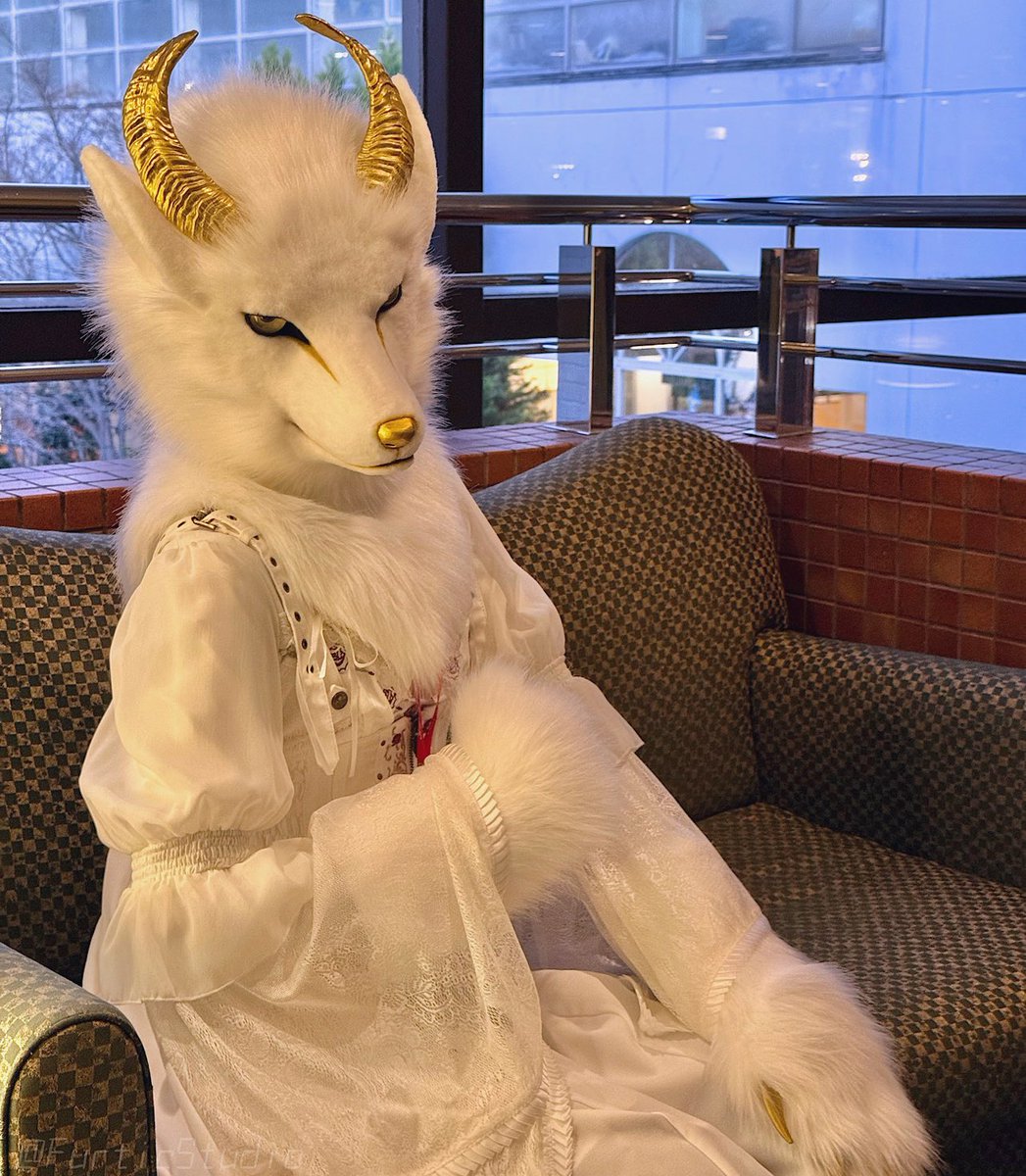 Sateko🐑🪽🫧⏩💭 tweet media