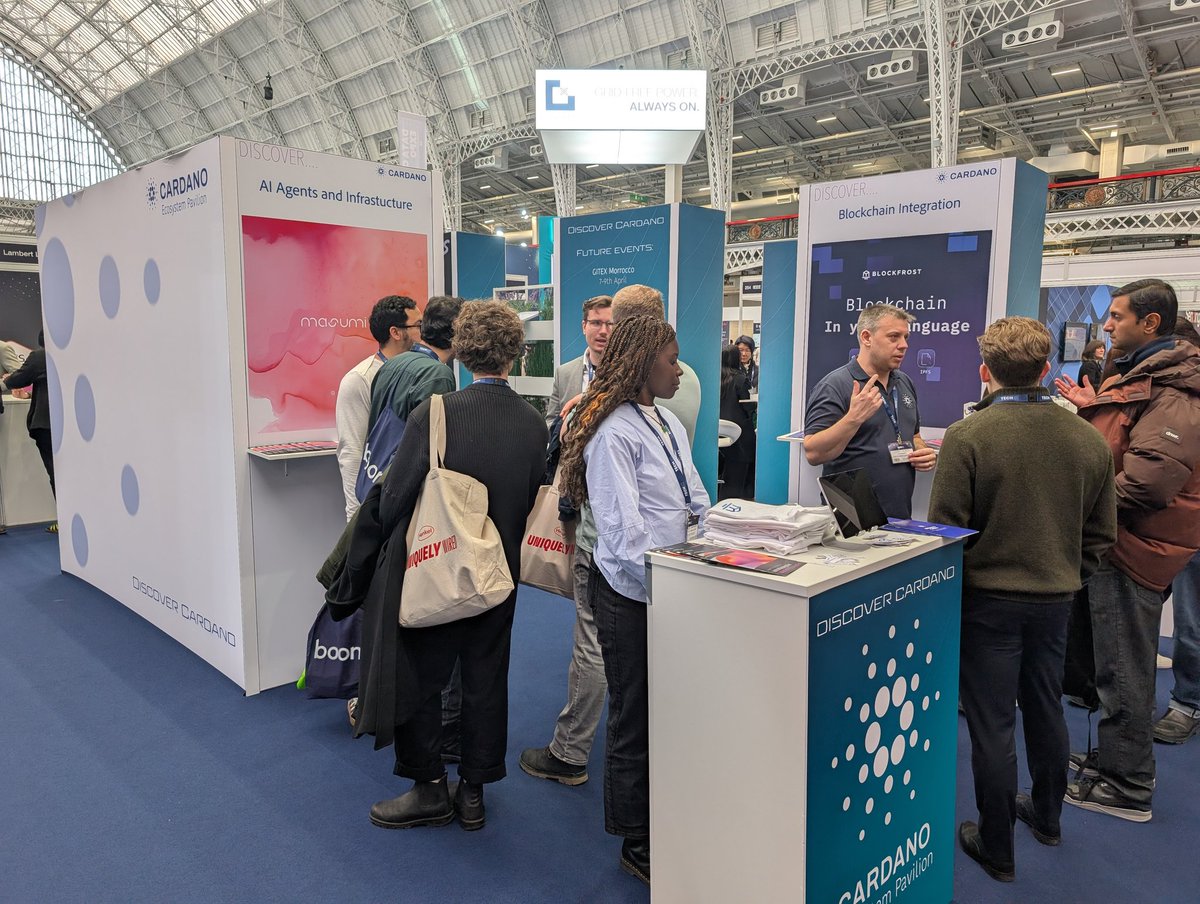 Lorenzo Bruno tweet media