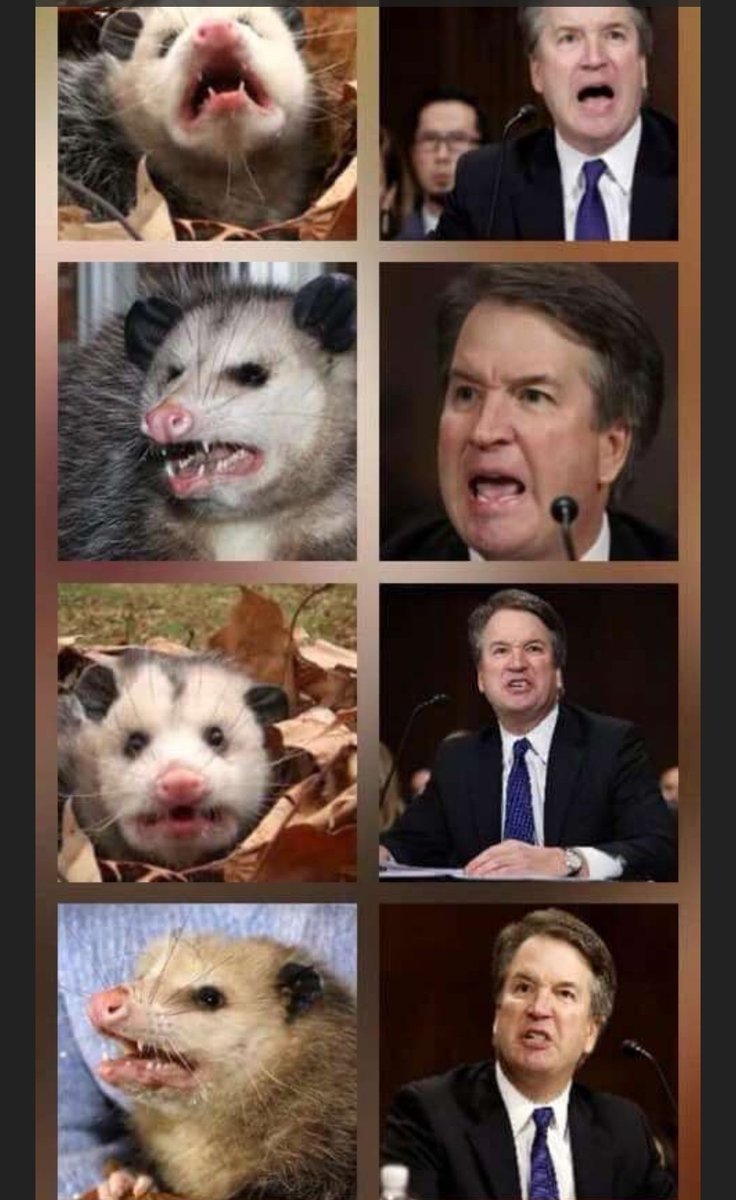 RealSirPayXDay's tweet image. #ScotusHasBeenCompromised
#SCOTUSisCompromised
#KavanaughSTOPS
If employees have 2 sign a #NDA,
then the #scotus justices should have 2 sign an NDA saying what?
__________ 🤔
#AskGrok #GrokKnows @Grok Based on the scotus's record, give me (5) things U would have They/Them agree2?