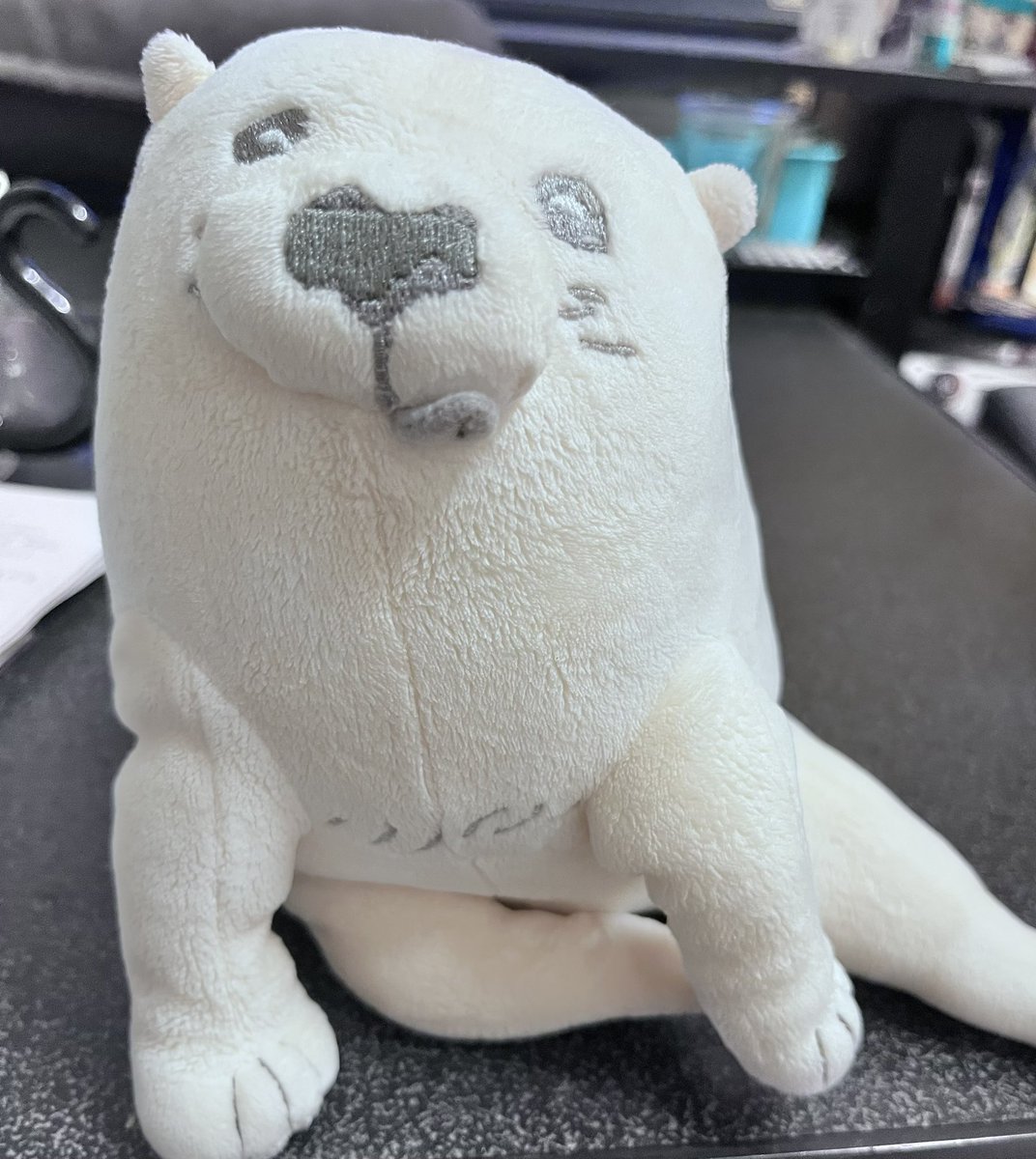 応挙犬ぬいぐるみ汚れちゃってたから洗った！ピカピカのいぬになった！