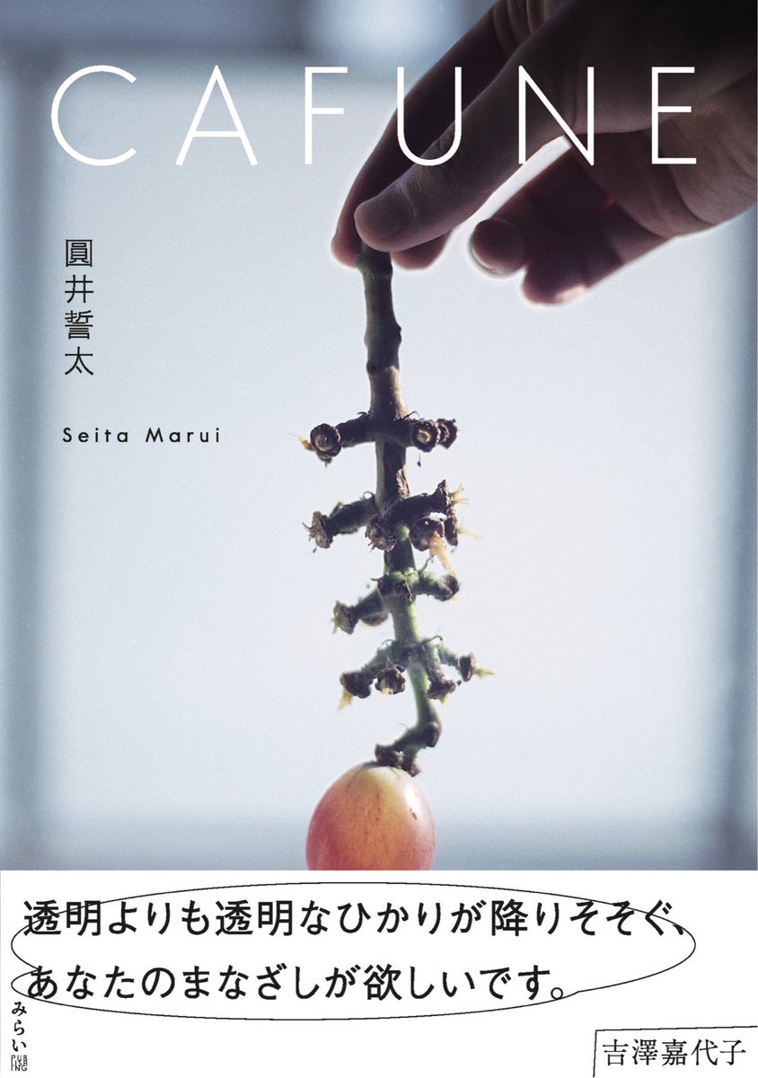 吉澤嘉代子 (@yoshizawakayoko) / Posts / X