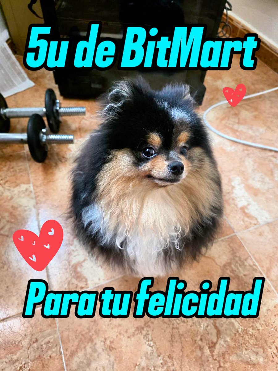 💭 “El dinero no puede comprar la felicidad”
— dijo #Elon_Musk en un post… y claro, internet explotó 😅
La respuesta honesta:
❌ no compra #felicidad
✅ pero compra tranquilidad, opciones y menos estrés a fin de mes (y mira a Mars (mi pom) - lo compre con dinero y me trae MUCHA