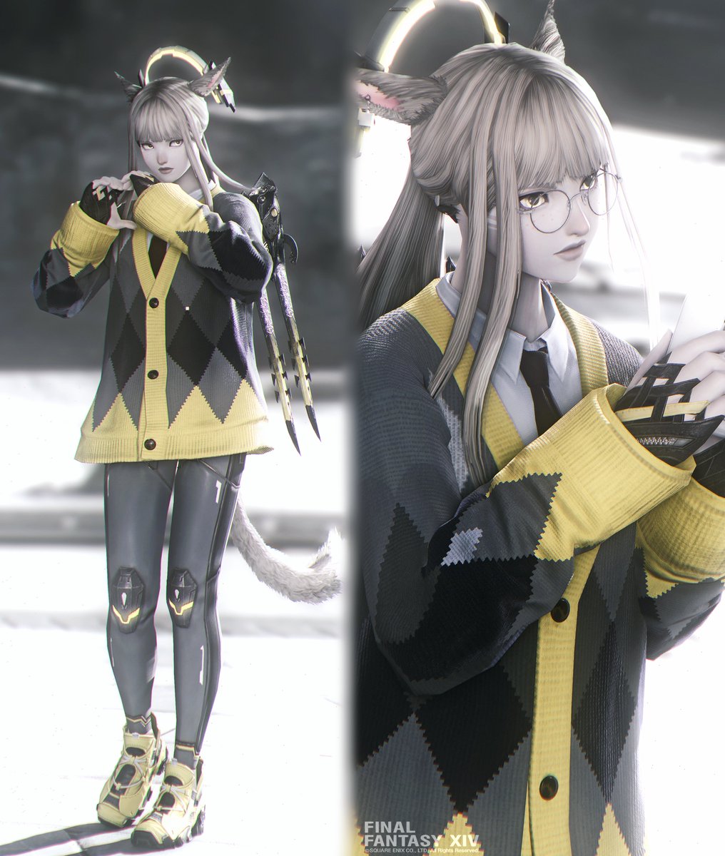 #ffxiv #FF14 #ミラプリ #파판룩템