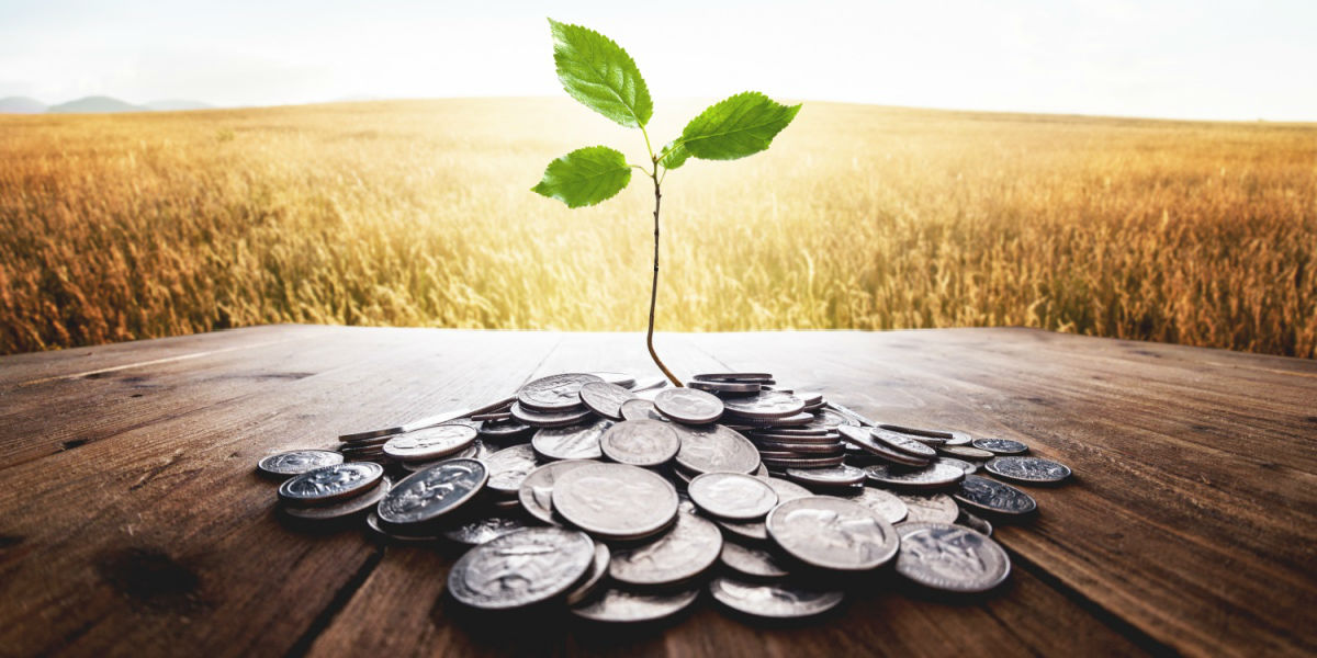 IEXProfs tweet media