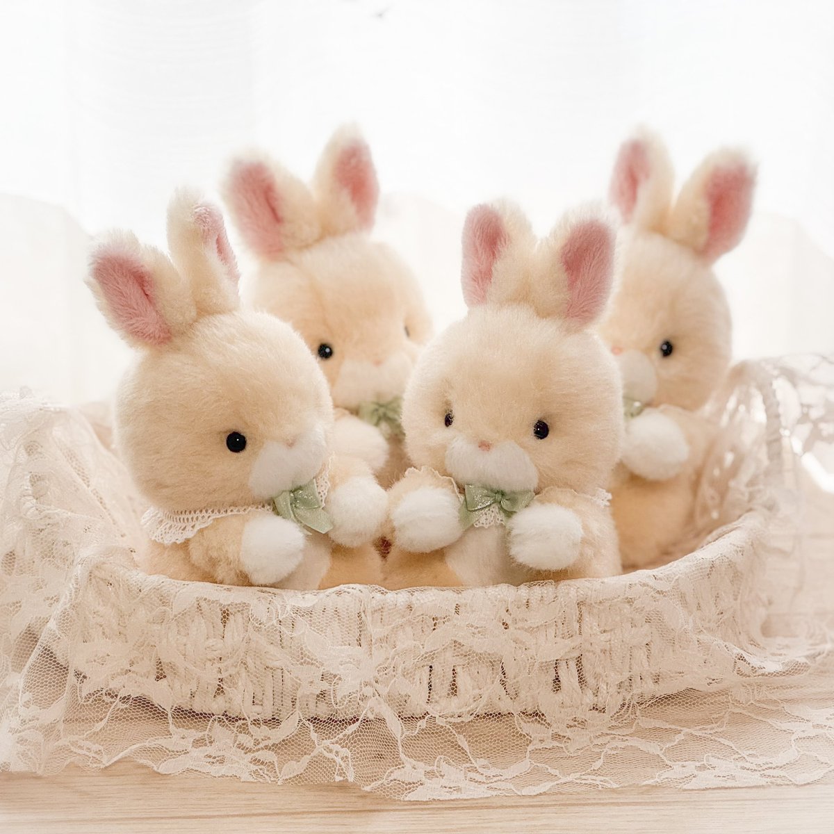 うさぎちゃんも出来上がりました₍ᐢ.ˬ.ᐢ₎♡